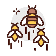 Bees