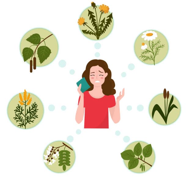 Outdoor Allergens