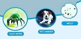 Indoor Allergens