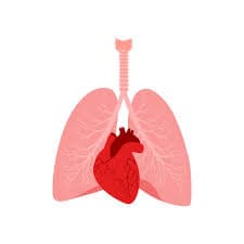 Respiratory/Cardiac