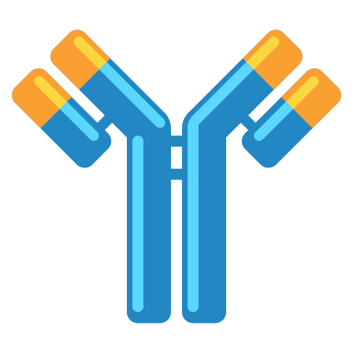 Antibodies