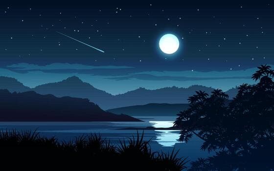 Night