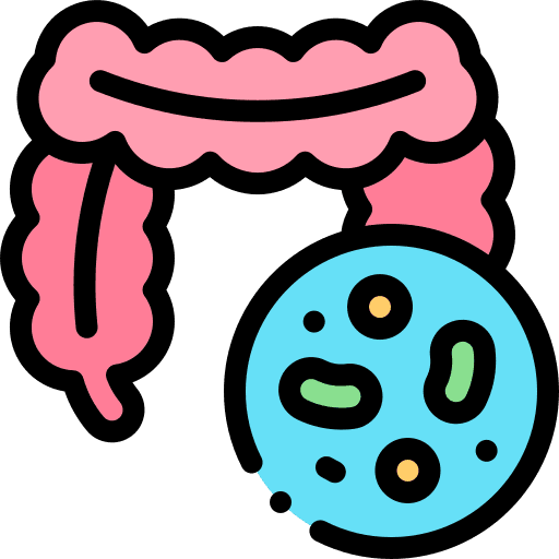 Gut Bacteria
