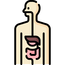 Physiological