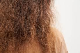 Hair Texture