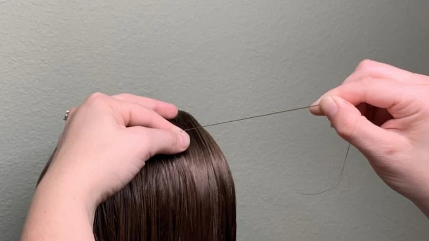 Elasticity of Hair