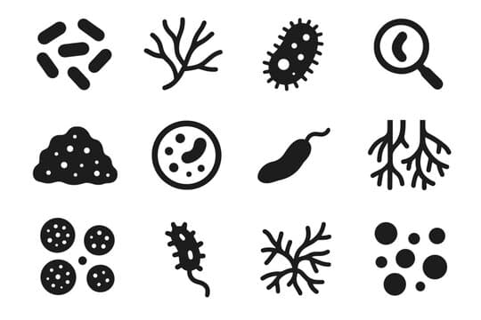 Fungus
