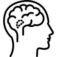 Hypothalamus