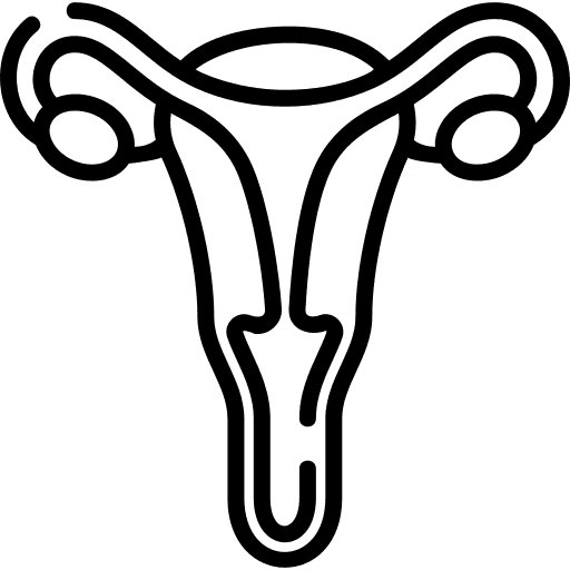 Fallopian Tube