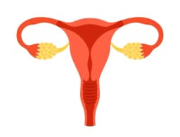 Uterine or Cervical
