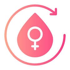 menstrual cycle