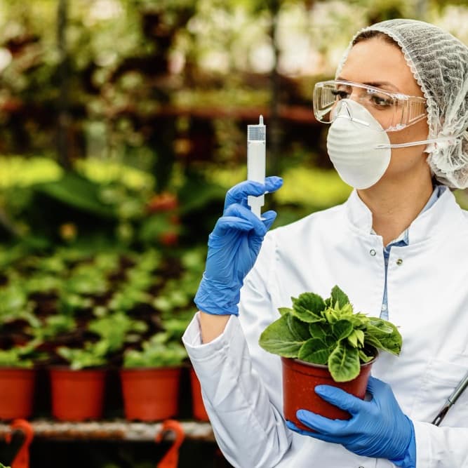 Agro Homeopathy