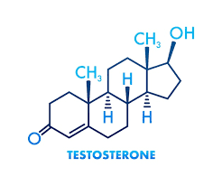 Testosterone