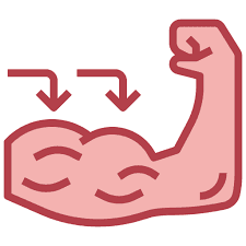 Muscular