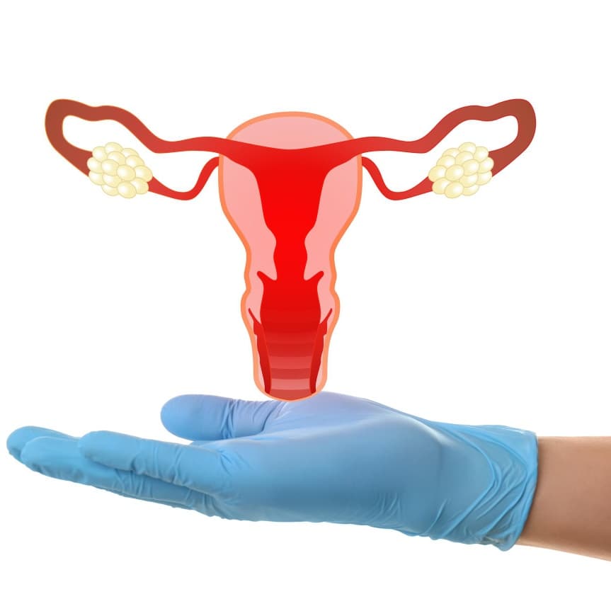 Vaginal Prolapse