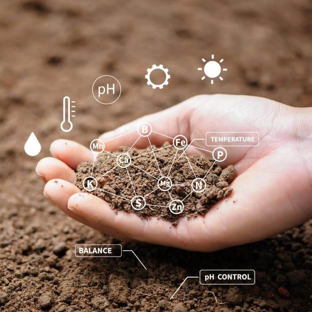 Soil Fertility & Microbial Balance