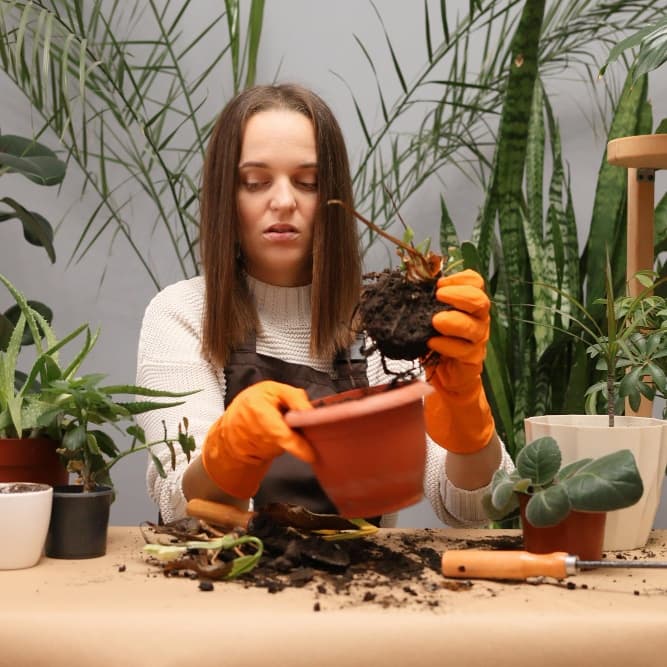 Stress & Environmental Adaptation