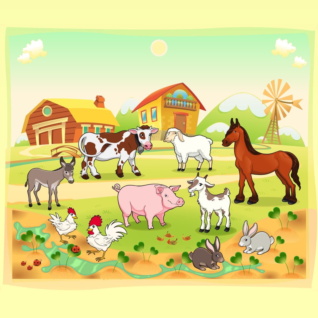 Farm Animals